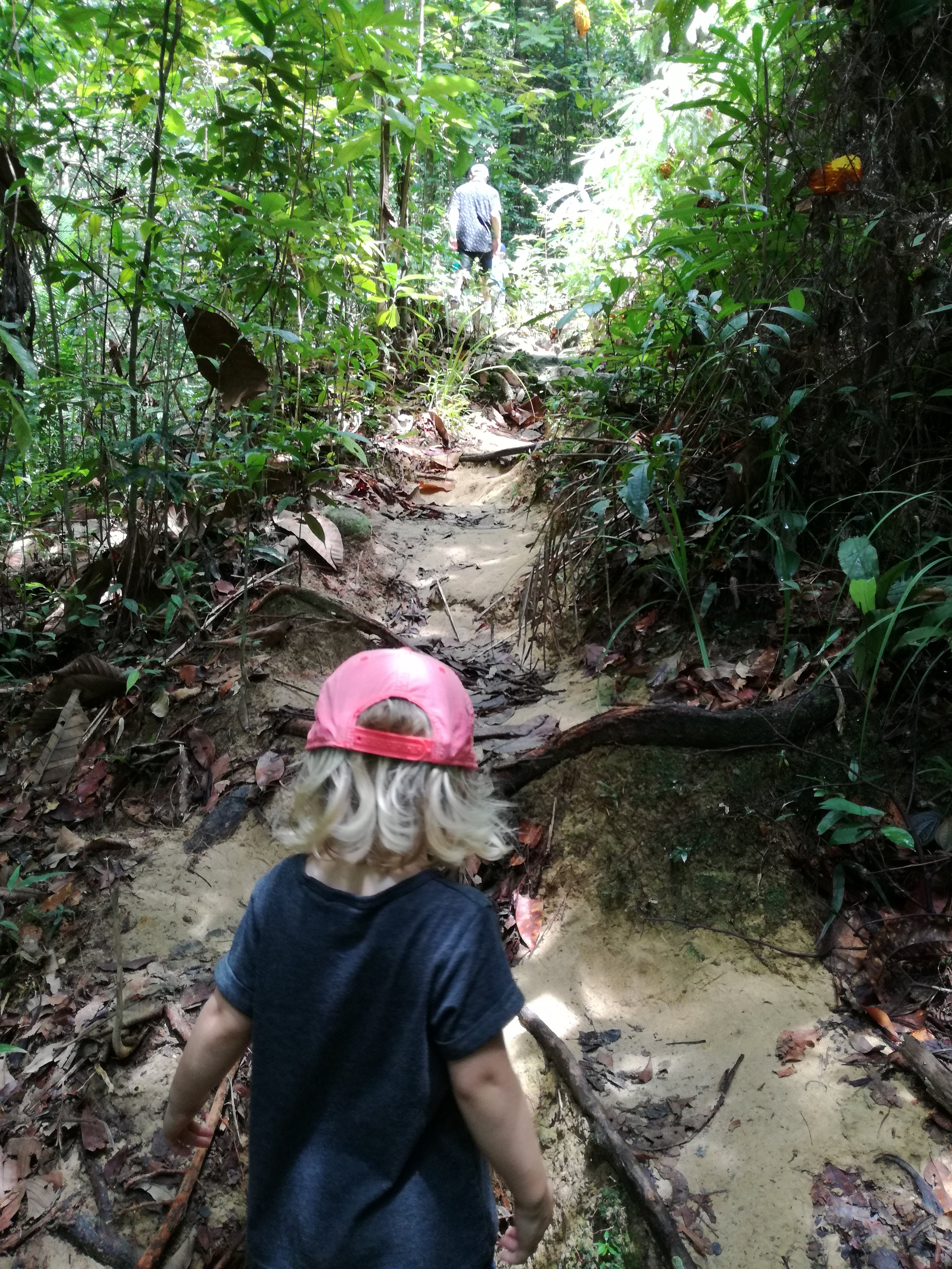Hiking in Batu Ferringhi